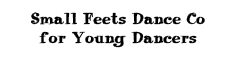 Small Feets Dance Co for Young Dancers
